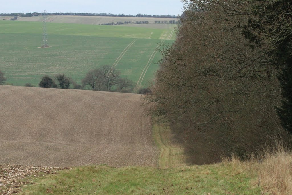 A view from Furze Copse toward Hare Warren by SBower