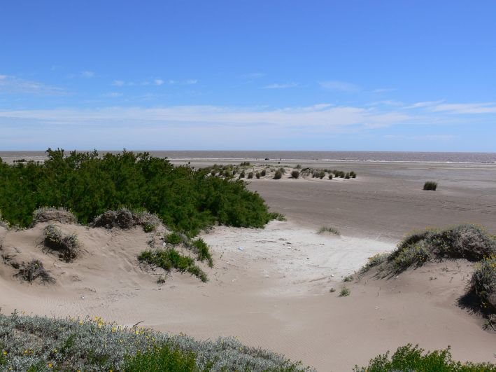 Beach of Punta Rasa by LeBoque