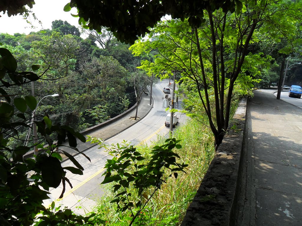 Avenida Edson Passos, Alto da Boa Vista, Rio de Janeiro by Francisco Muniz