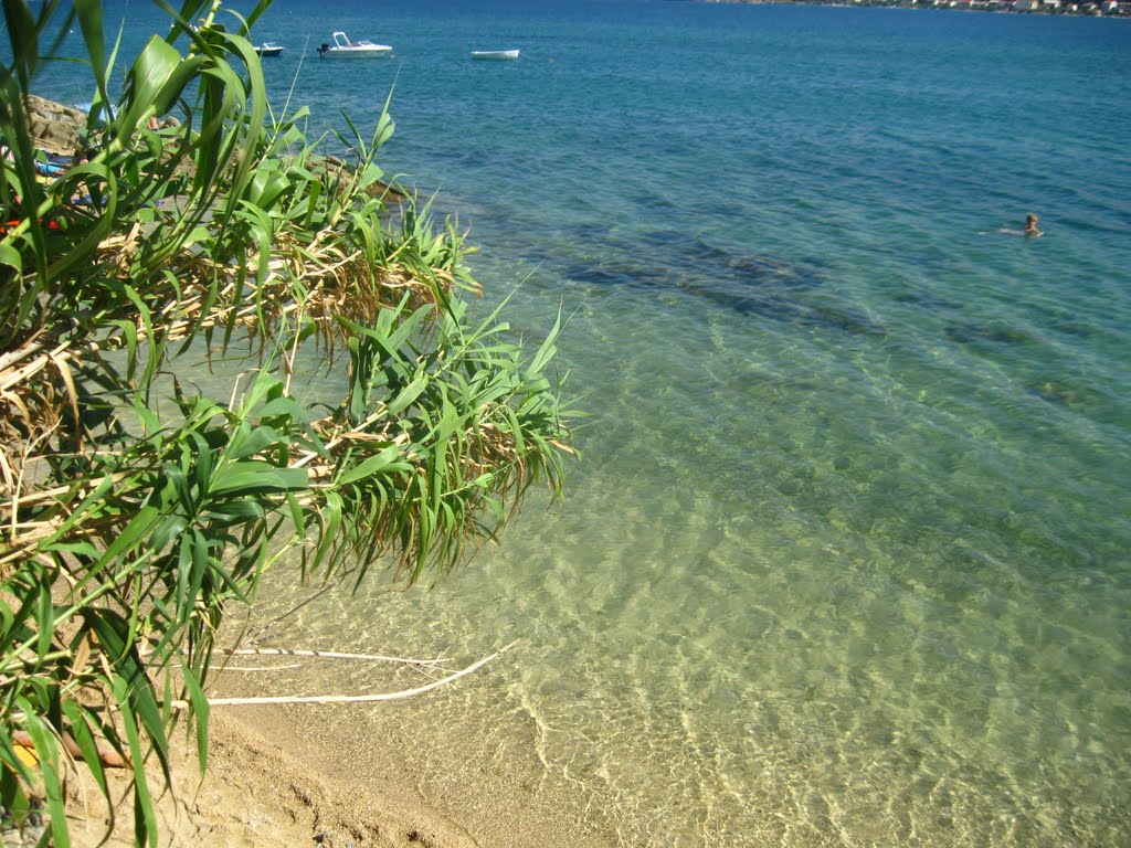 PLAŽA..... by branko zupancic