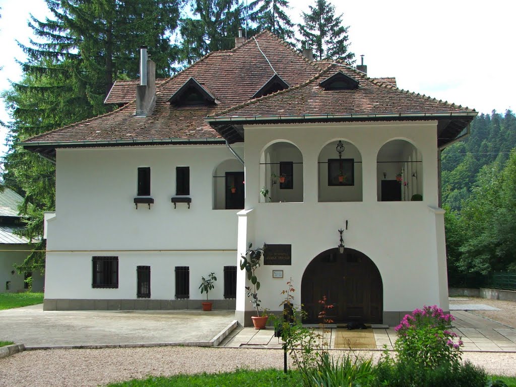 Casa Memoriala George Enescu by DiaC