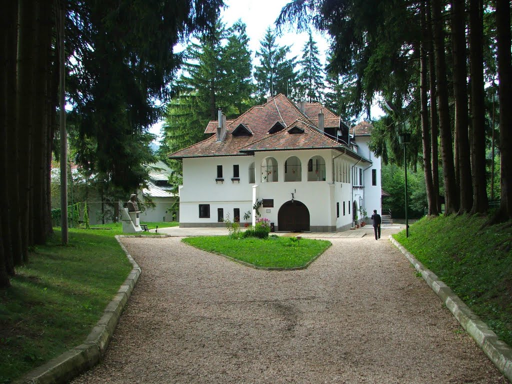 Casa Memoriala G. Enescu by DiaC