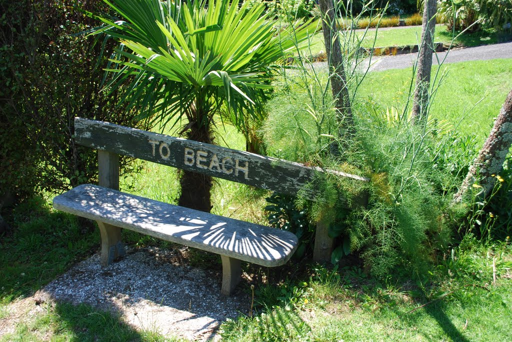 Pathway to Palm Beach, Waiheke Island by Deb RedMeadows