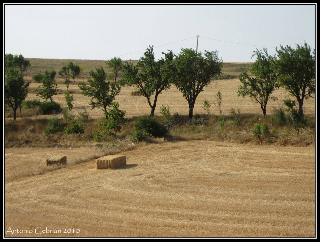 Hontanas, 09227, Burgos, Spain by AntonioCebrian