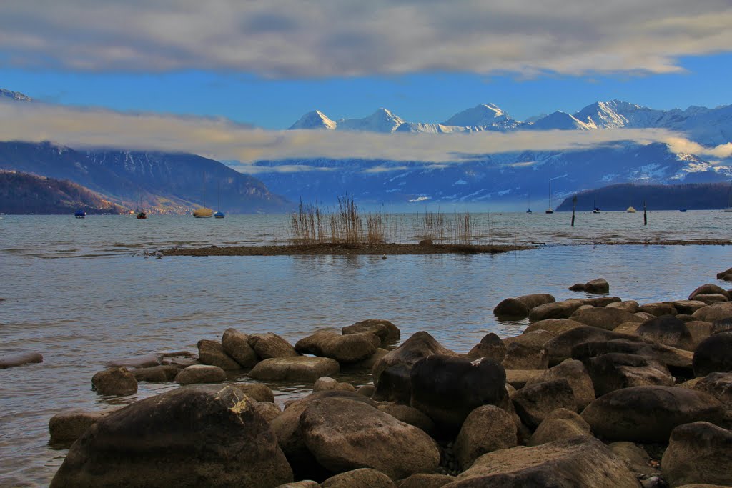 Lago di Thun sotto una cappa di nubi by Alfonso Minoli