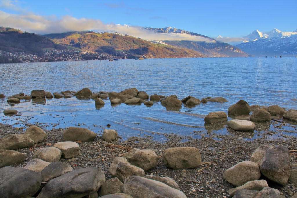 Lago di Thun in inverno - Gwatt by Alfonso Minoli