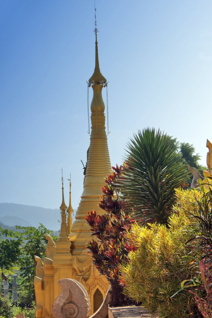 INLE : LA FORET DE STUPAS by POESIE