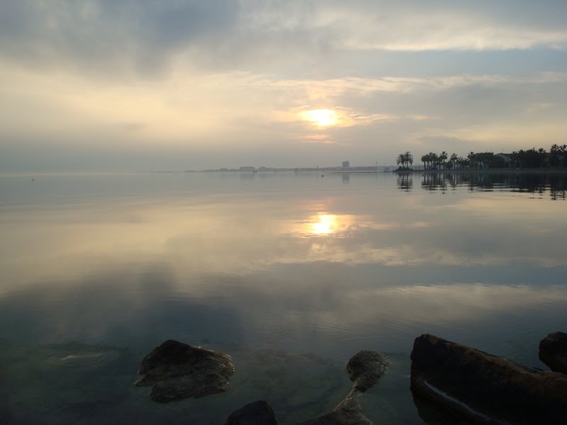 REFLEJOS DORADOS by Miueta