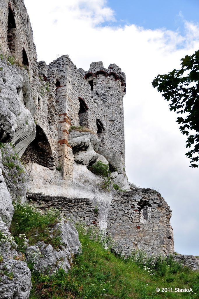 Podzamcze - ruiny Zamku Ogrodzieniec by Stasio A.