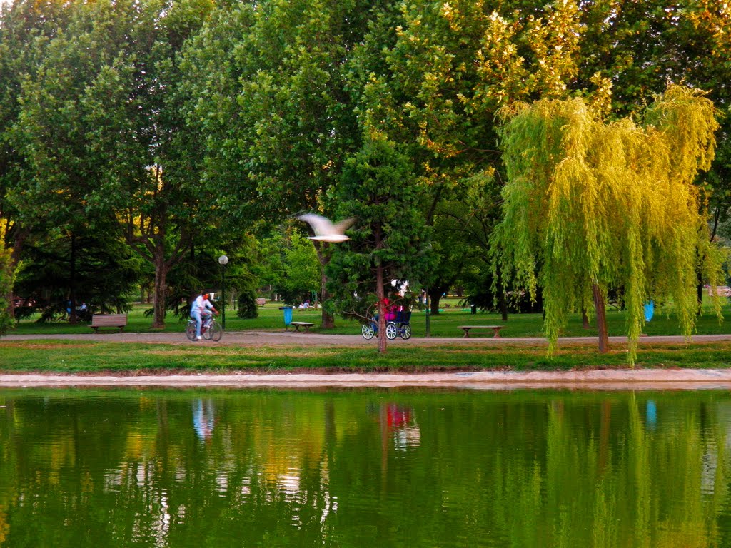 Botanik Park by Gülperi YILDIZ