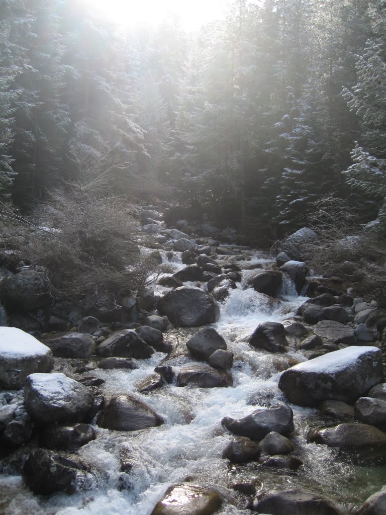 Bansko: Forest by StewartRegan