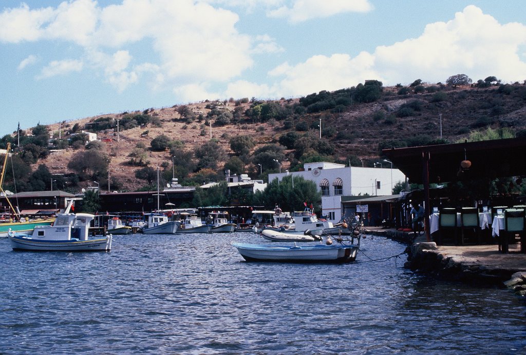 Gumusluk sahil by erhan kesken