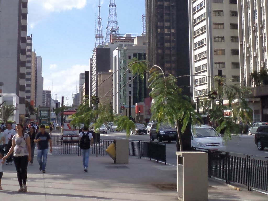 Avenida Paulista by Moe de Jong