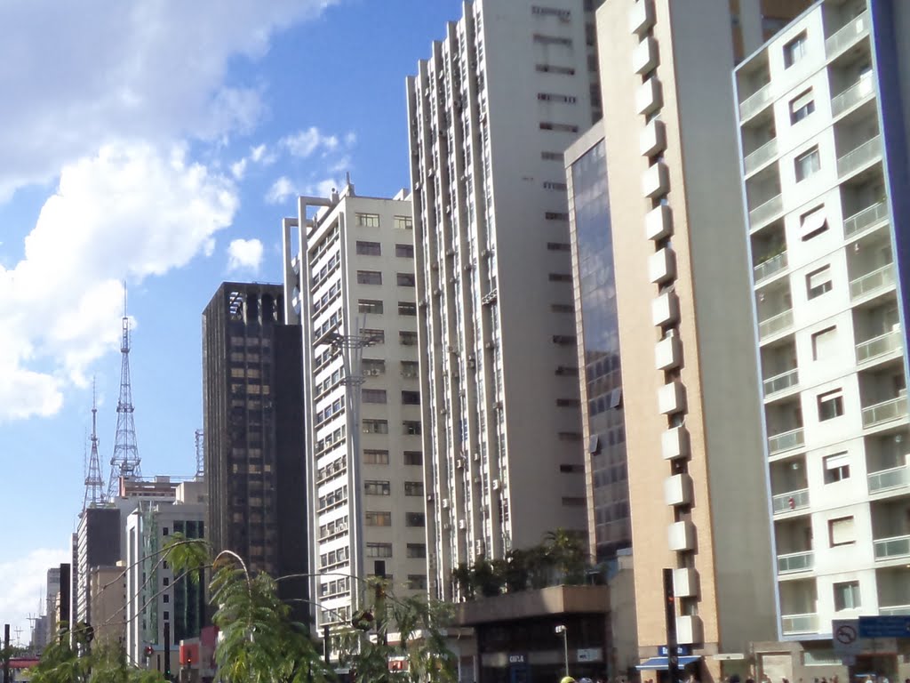 Vista A Partir da Avenida Paulista by Moe de Jong