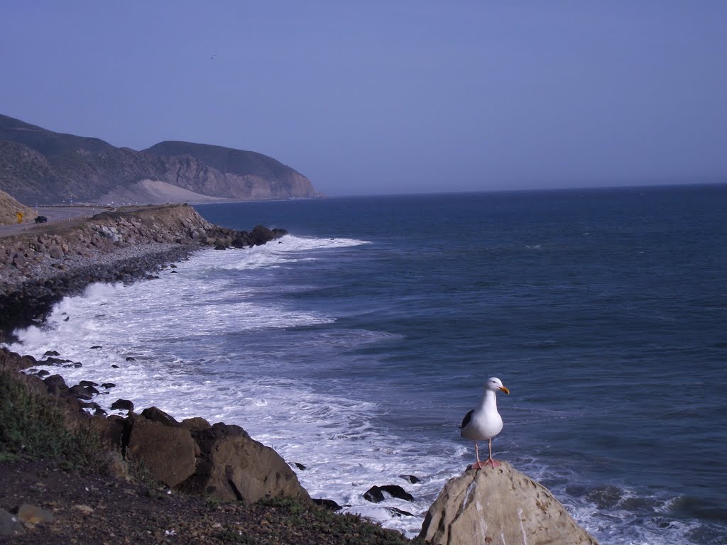 Oxnard-Thousand Oaks-Ventura, CA, CA, USA by coleen McDonald