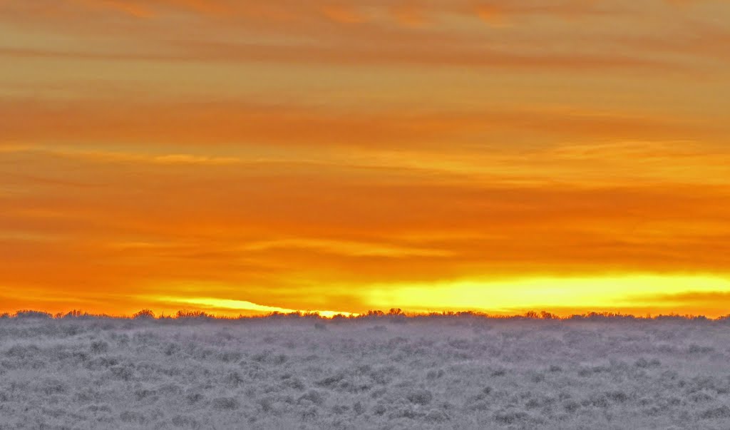 Frosted Sagebrush Sunset by Don Maiers