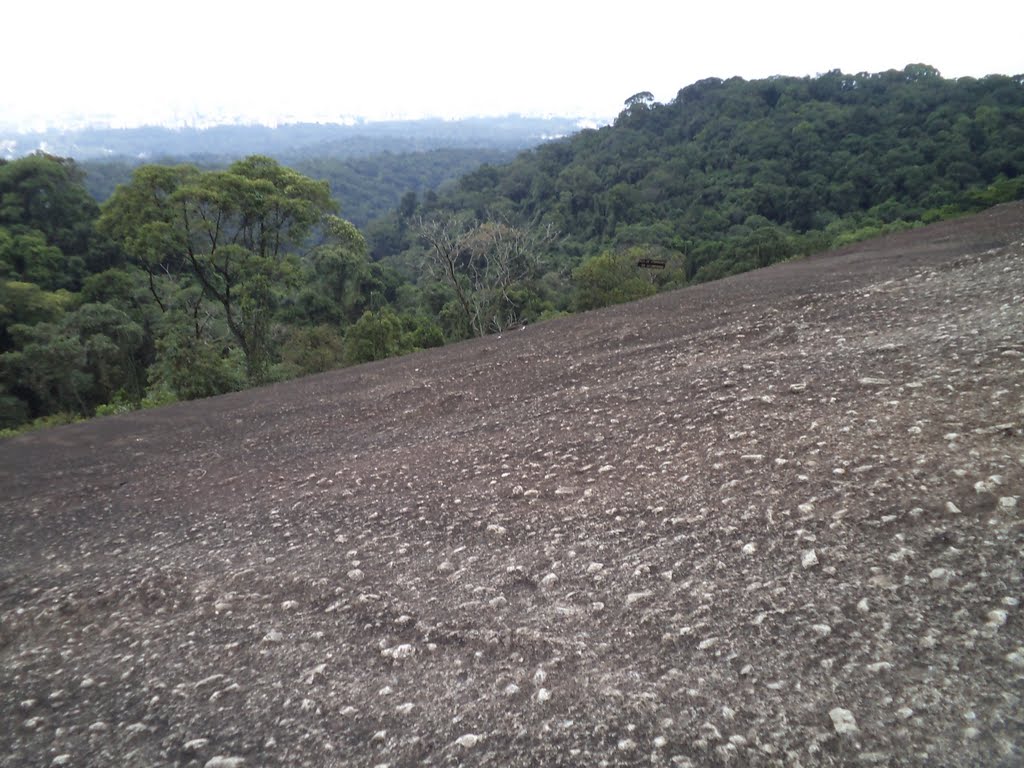 Parque Estadual da Cantareira by Moe de Jong