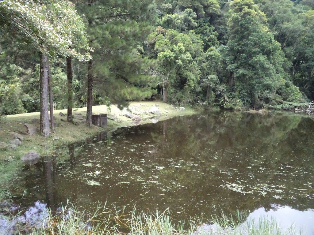 Parque Estadual da Cantareira by Moe de Jong