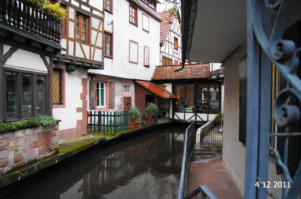 Petite Venise - Wissembourg by Françoise BRAULT