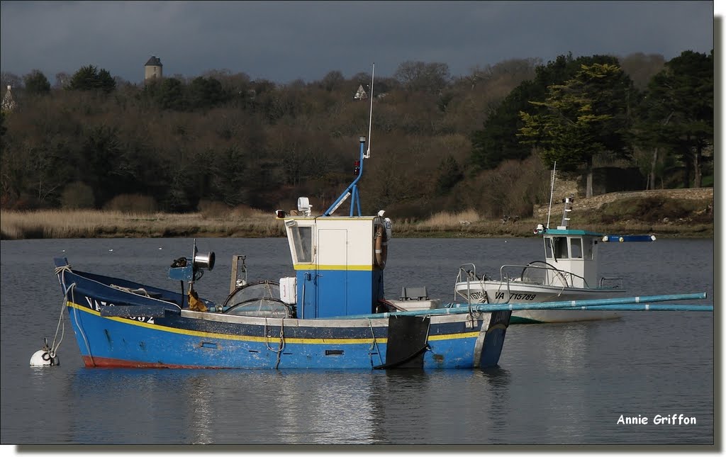 Chalutier à Arzal, Morbihan by ♫ Amonite ♫