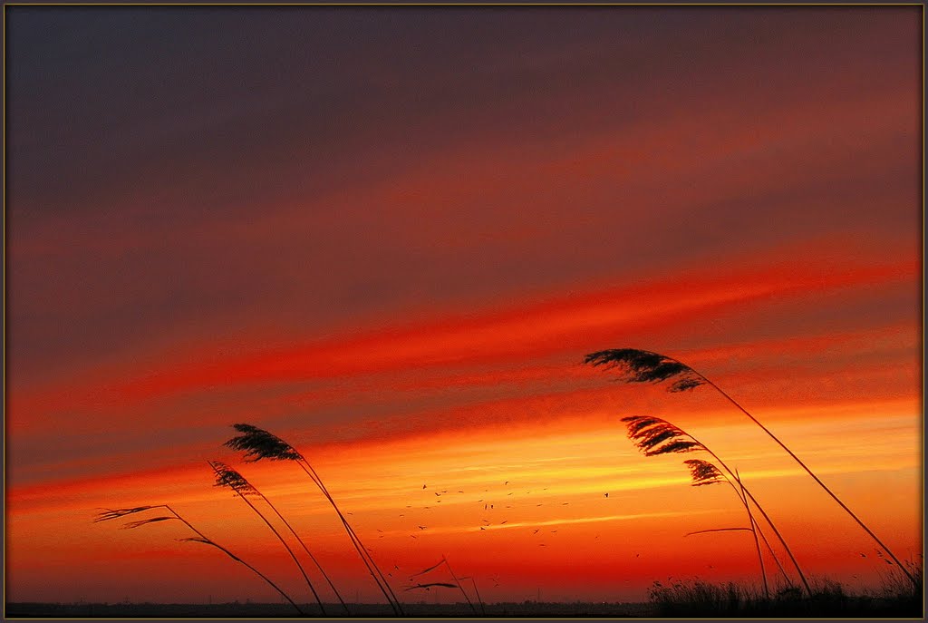 Fire in the Sky.. by Chris10 ©