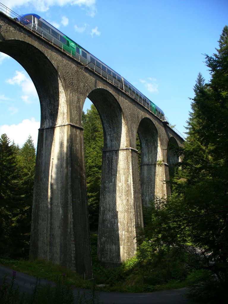 TER sur le viaduc du Passadou à Laveissière by Patrick P.