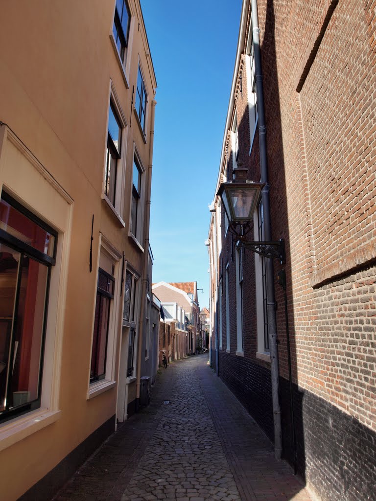 Leiden, Netherlands by Zsuzsanna Újvári