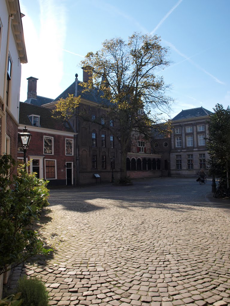 Leiden, Netherlands by Zsuzsanna Újvári