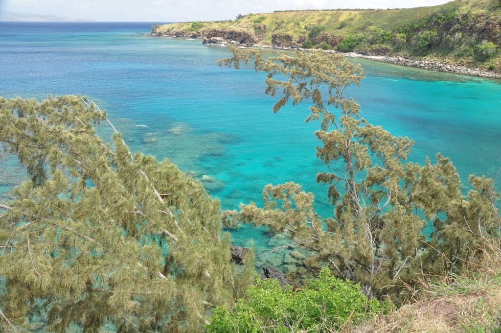 Honolua Bay May 2011 by Gary Joines