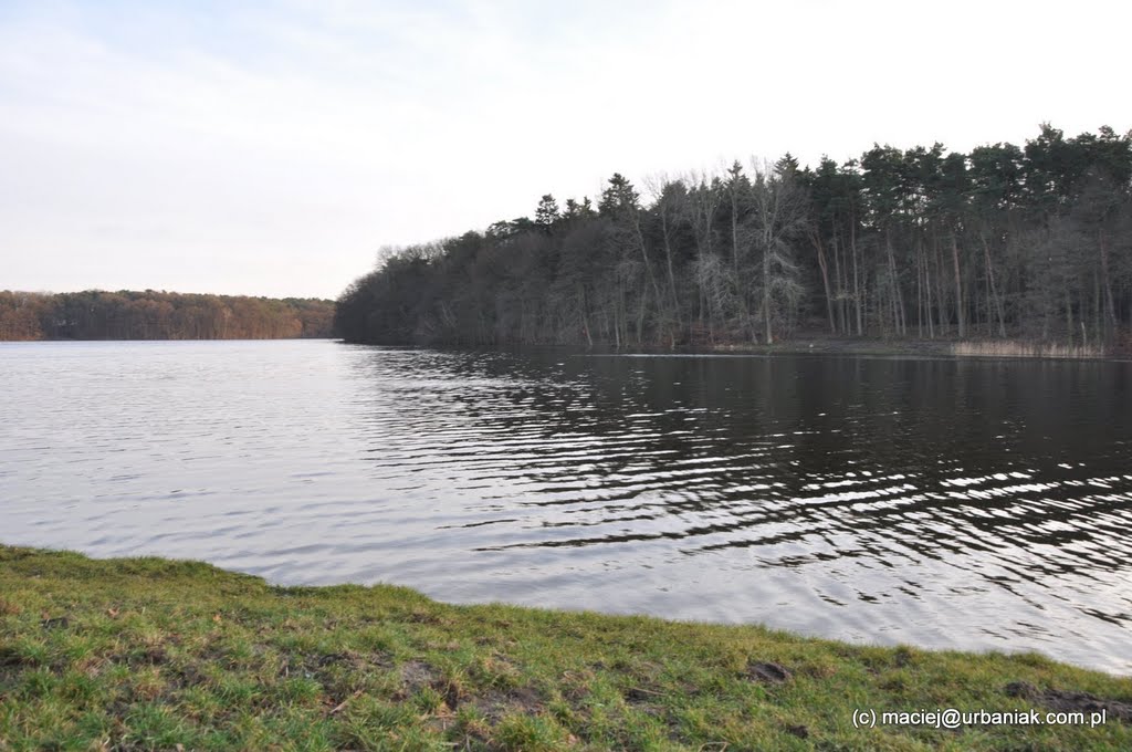 Głębokie-Pilchowo, Szczecin, Poland by maciejurbaniak