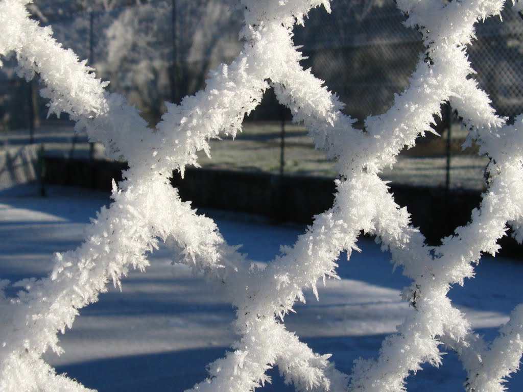 Abington Park tennis courts by Richard D H Jones