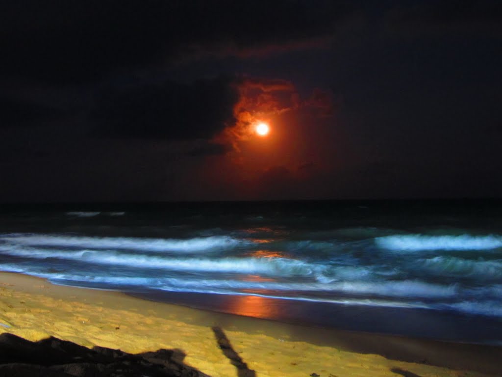 Maceió - Praia de Jatiúca (Beach Jatiuca) by Benício Monte