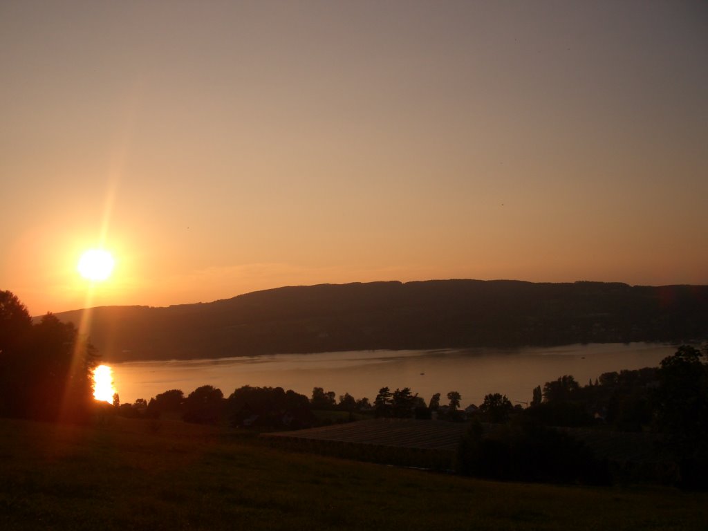 Sunrise with view of the Rhein by Coldcut