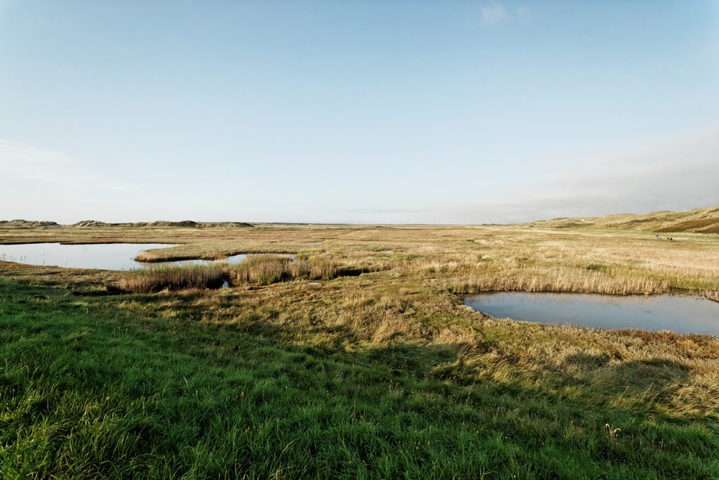 Texel - De Slufter - Mixed Salt & Sweet Water Natural Environment - View North by txllxt TxllxT