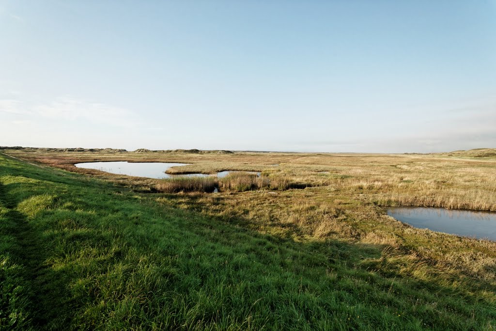 Texel - De Slufter - Mixed Salt & Sweet Water Natural Environment - View NNW by txllxt TxllxT