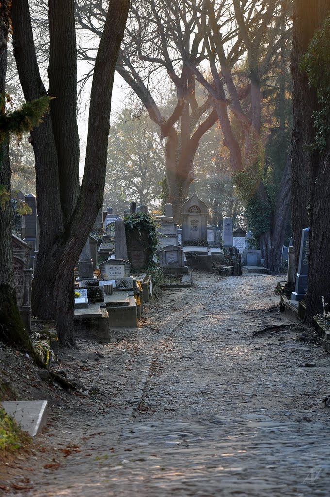 Cimitirul catolic din Sighisoara by Alexandru Velcea