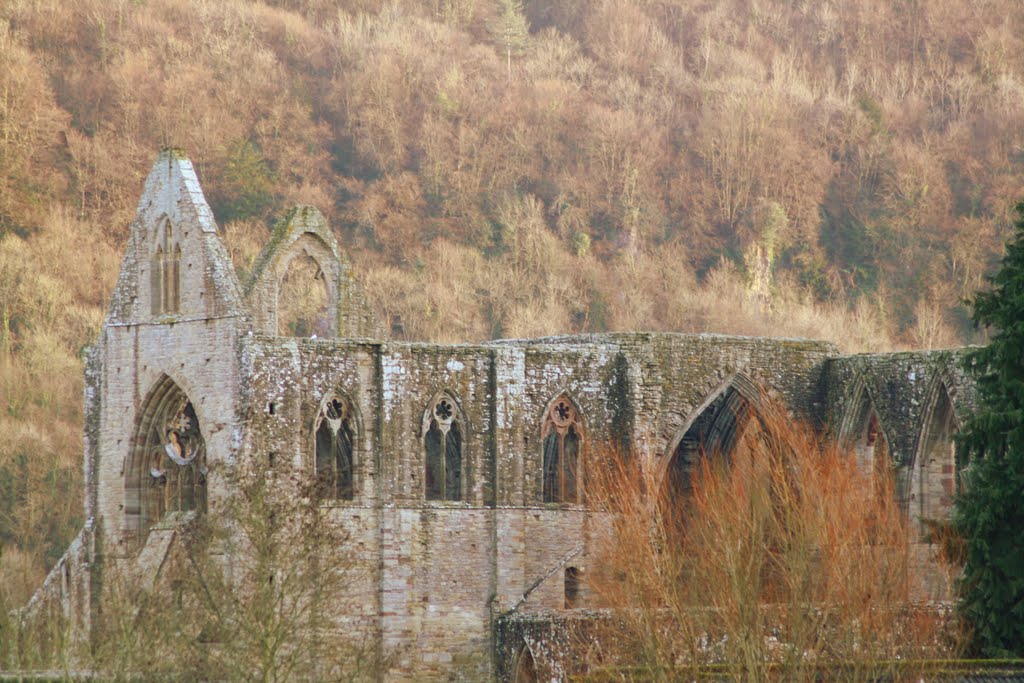 Tintern Abbey - Tiz! by David Owen