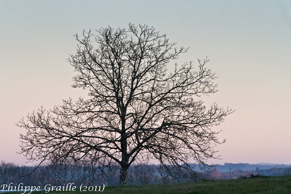 La Grange vieille (Corrèze) by Philippe GRAILLE