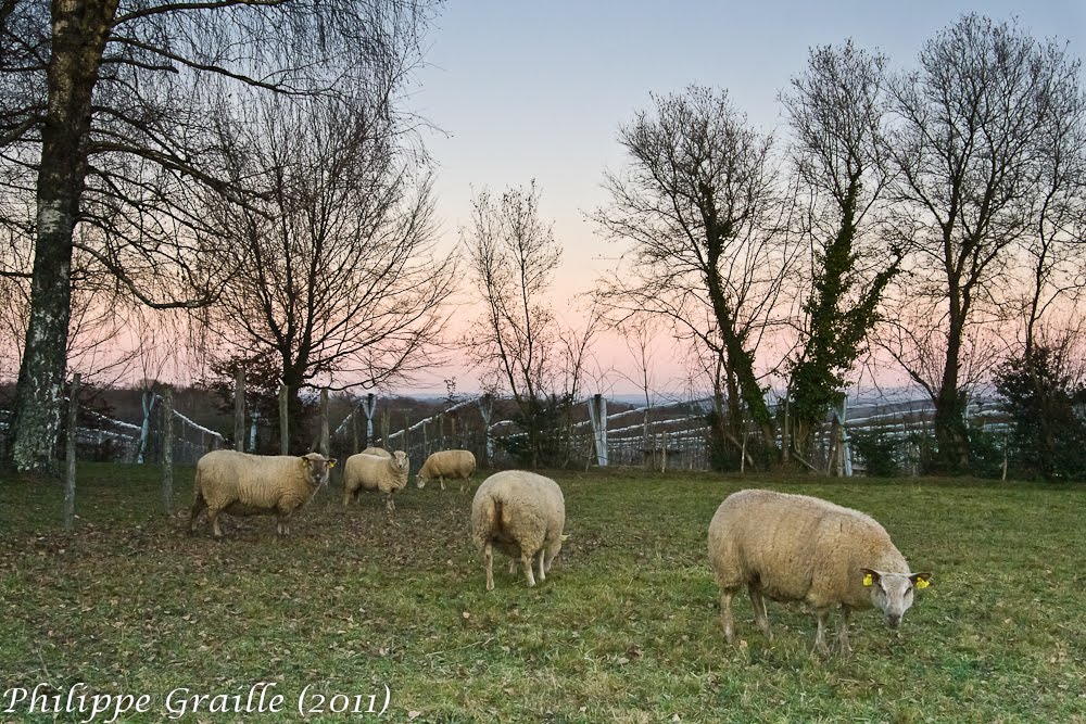 La Grange vieille (Corrèze) by Philippe GRAILLE