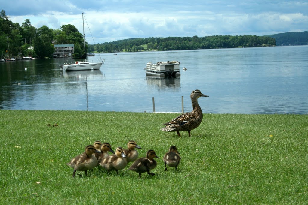 Gathering family at Crystal Beach, Lake Bomoseen VT by hydeville