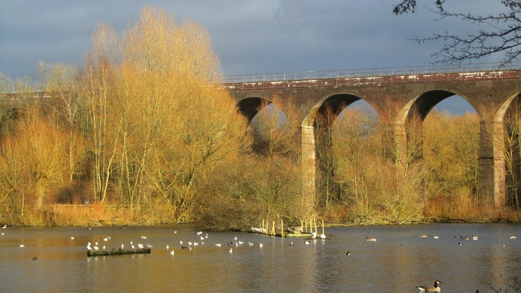 Reddish Vale pond and viaduct by © Phil Rowbotham