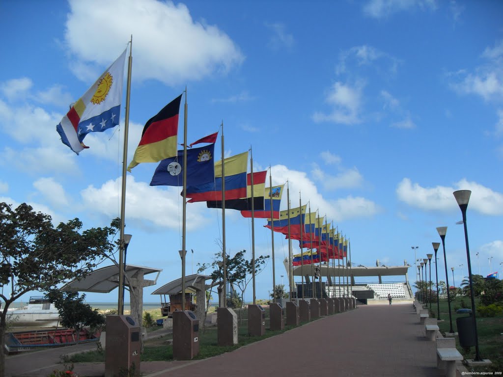 Evolucion de la Bandera Venezolana / Evolution of The Venezuelan flag by HJ Azpurua