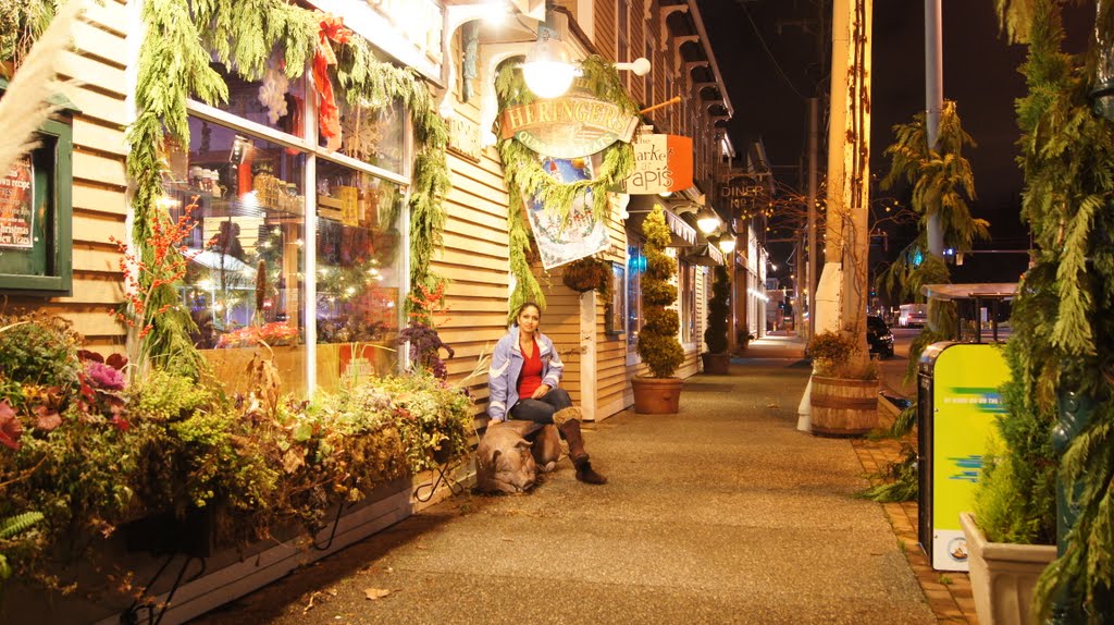 Steveston, Richmond, BC, Canada by A Sokhi