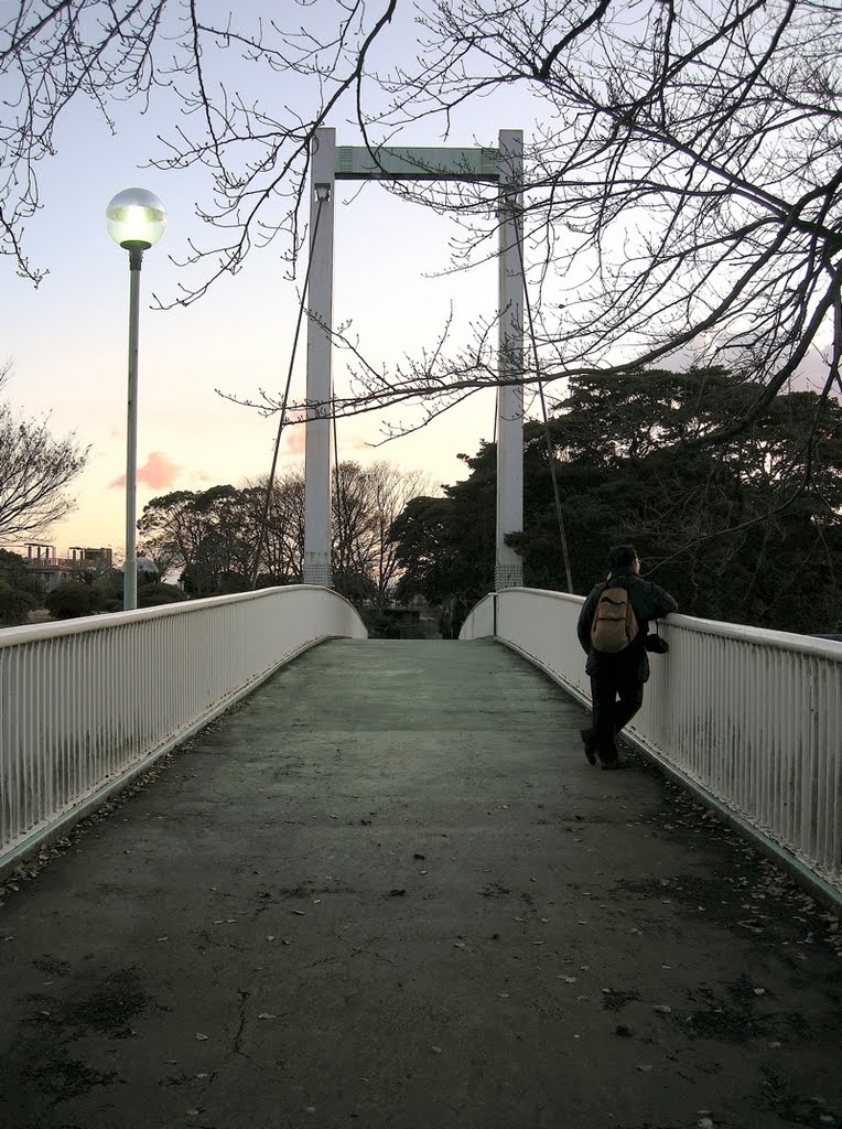 野毛山公園歩道橋 (Footbridge, Designed by Japanese industrial designer Sori Yanagi.) by yossy