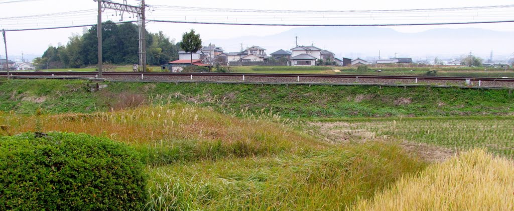 日本 奈良 尼辻 Amagatsuji,Nara,Japan by Percy Tai  漆園童