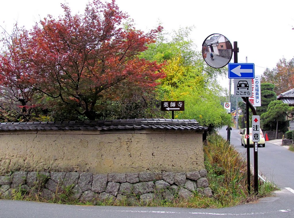 日本 奈良 唐招提寺 前 Nara,Japan by Percy Tai  漆園童