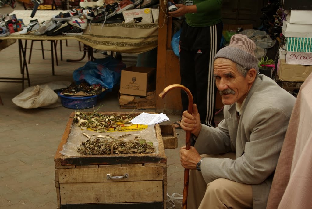 Maroc - le secret des dents jaunes by Anne - Marie (Anma)