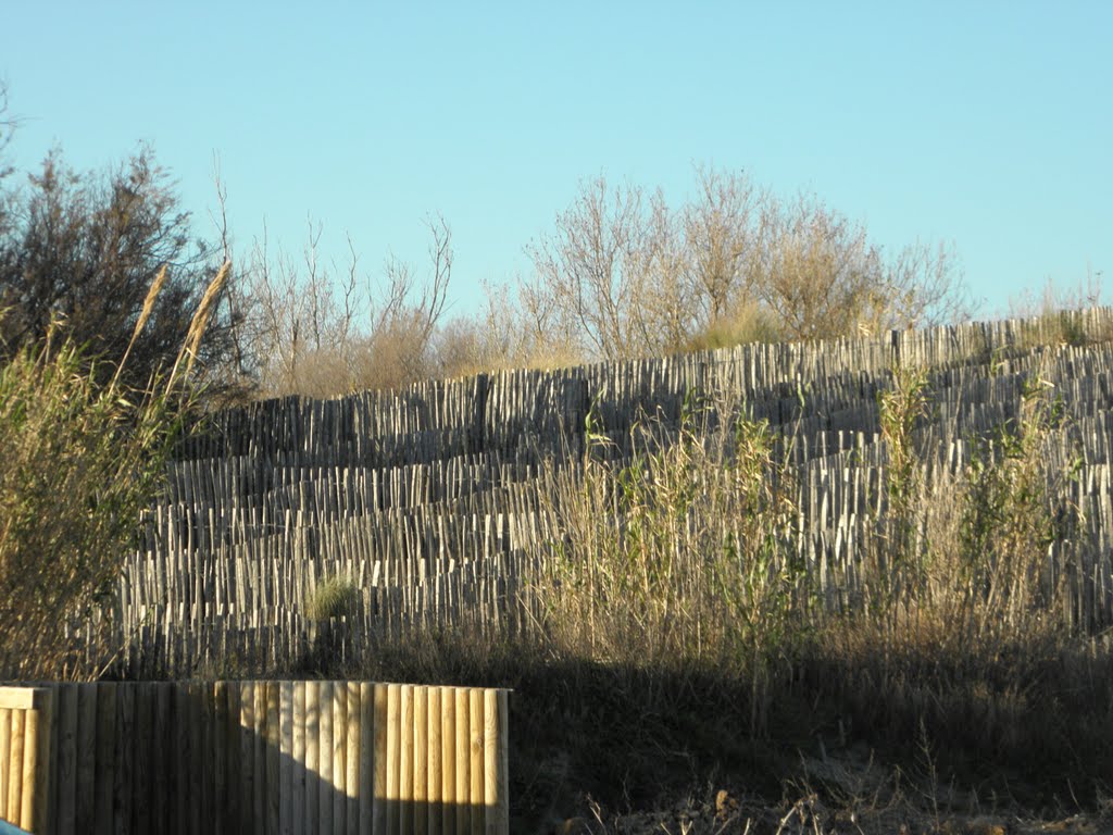 Plage du Cap d'Agde by zicx