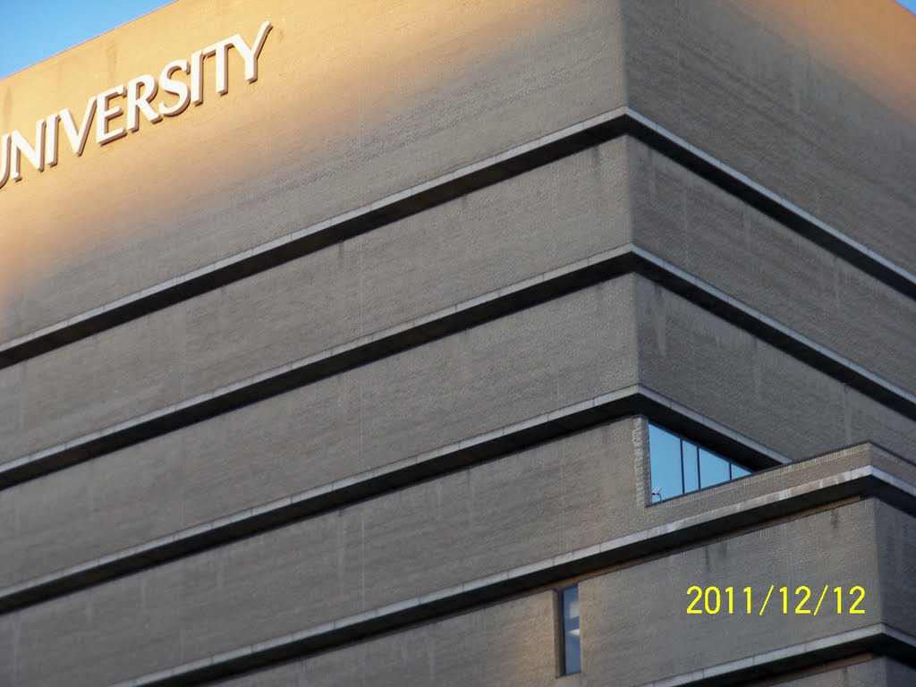 Ryerson University's library by Geo Swan