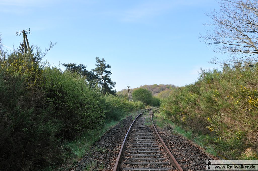 Blick zurück: Der Bahndamm geht in einer Kurve über by Railwalker